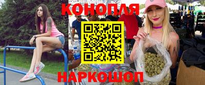 крисы Донской