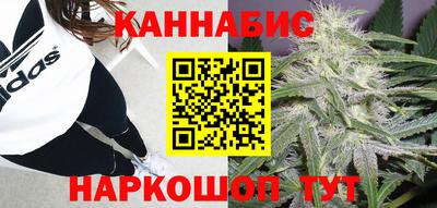 крисы Донской