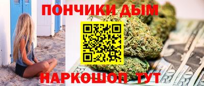 индика Дубна