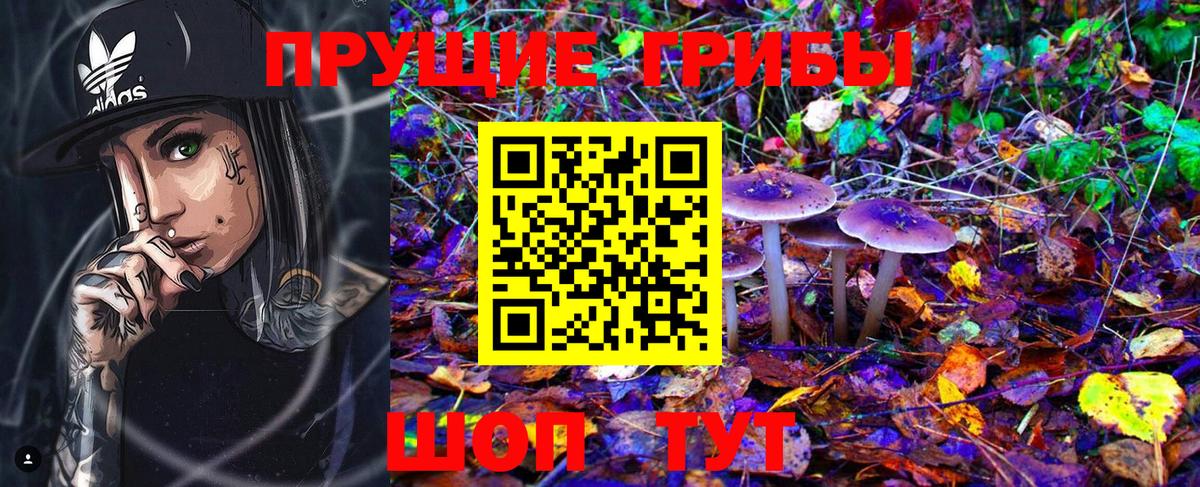 Медногорск  Галлюциногенные грибы MAGIC MUSHROOMS  где найти   Вход с VPN 